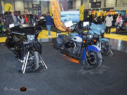 Vienna Drive 15.01.2026